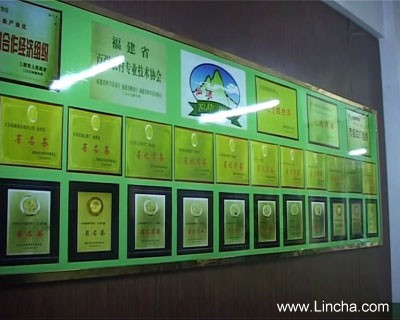 大田茶叶被国家农业部批准为创建绿色食品生产基地