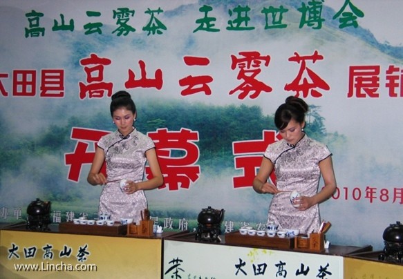 大田高山云雾茶推介会茶艺表演