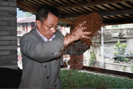 梁骏德制作金骏眉图片