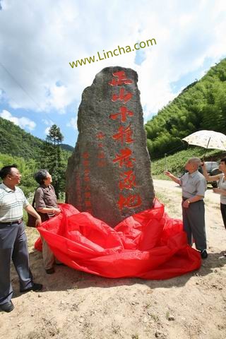 桐木关 - 正山小种发源地