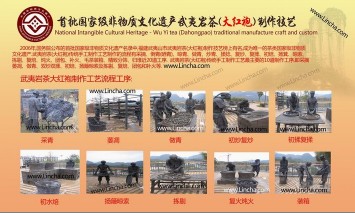 大红袍是属于什么茶