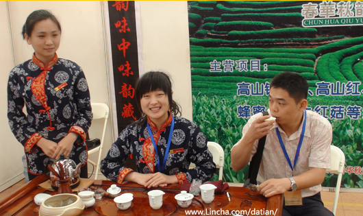 大田高山茶 春华秋韵