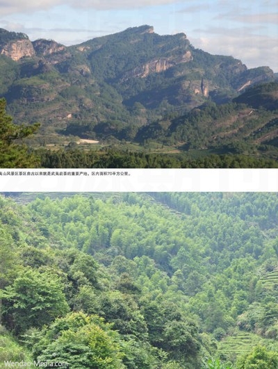 武夷山山场