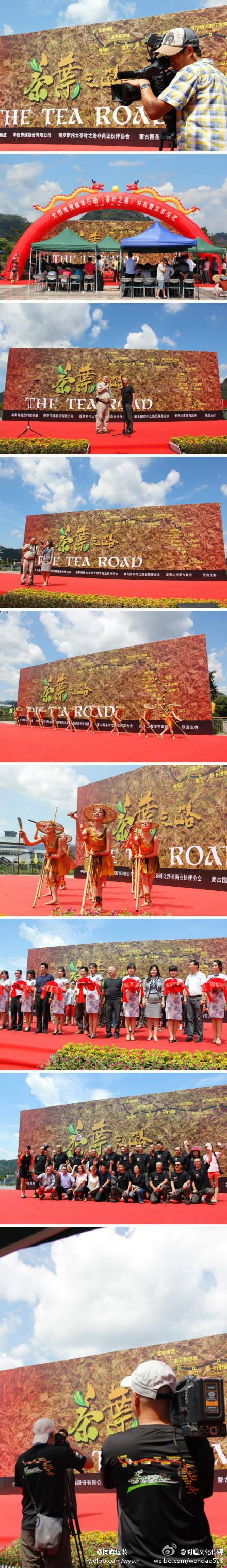 CCTV 茶叶之路 the tea road