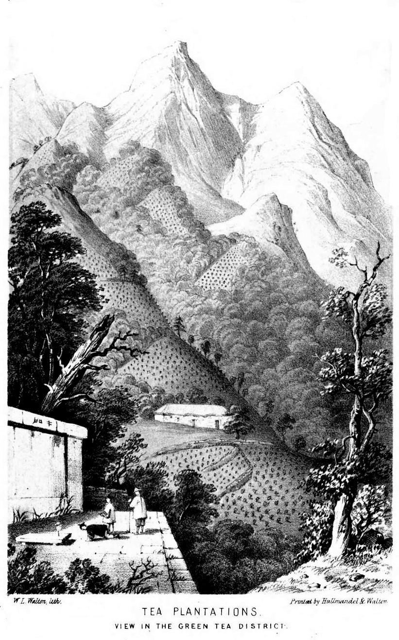 Including Sung-Lo And The Bohea