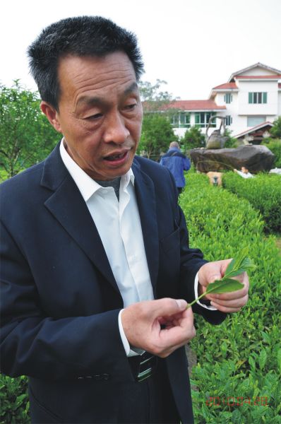 王顺明